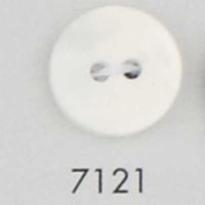 7121 Polyester Resin Two-hole Button