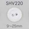 SHV220 2-hole Shell Button