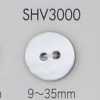 SHV3000 2-hole Shell Button