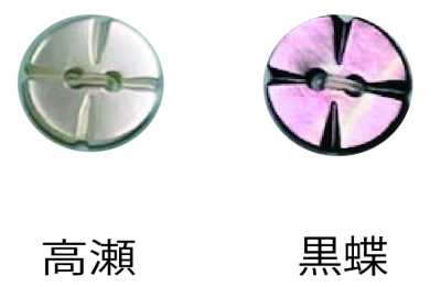250 Two-hole Rimless Shell Button