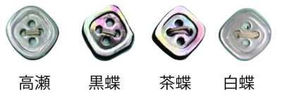 4004H 4-hole Rimmed Shell Button