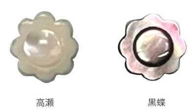 608 Flower-shaped Shell Button