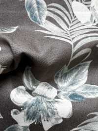 4234 Broadcloth Stylish Relaxation OHI A LEHUA[Textile / Fabric] VANCET Sub Photo