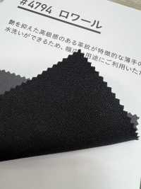 4794 Loire[Textile / Fabric] PLANETA Sub Photo