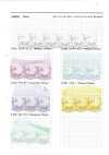 24905S Silver Lame Tulle Princess Color