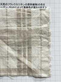 AZUMADAKI-119 Organic Cotton Dobby Check AZUMADAKI Processing[Textile / Fabric] Komatsuwa Textile Sub Photo