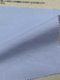 BC0045 60/1 Typewritter Cloth AZUMADAKI Processing[Textile / Fabric] COSMO TEXTILE Sub Photo