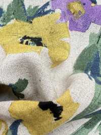 7025-1700-4 CL Loomstate[Textile / Fabric] HOKKOH Sub Photo
