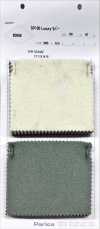 80666 SP100 Luxury River