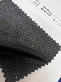 ROSEOBG Rosa Beige[Textile / Fabric] Shinko Sub Photo