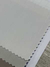 85426 Ms. Typewritter Cloth[Textile / Fabric] Parika Sub Photo
