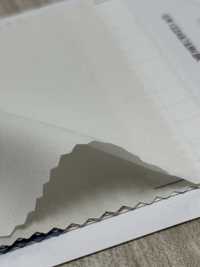 85426 Ms. Typewritter Cloth[Textile / Fabric] Parika Sub Photo