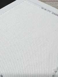 AD29000 Katsuragiten[Textile / Fabric] COSMO TEXTILE Sub Photo