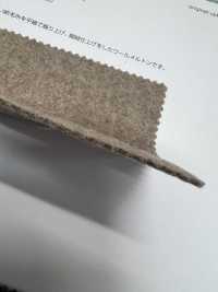 TRENTO Torrent[Textile / Fabric] Shinko Sub Photo