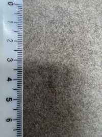 TRENTO Torrent[Textile / Fabric] Shinko Sub Photo