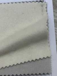 80660 SP100 Excellent Beaver[Textile / Fabric] Parika Sub Photo