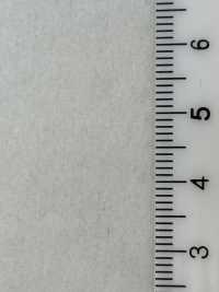 80660 SP100 Excellent Beaver[Textile / Fabric] Parika Sub Photo