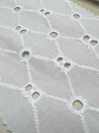 INDIA-428 Embroidery[Textile / Fabric] ARINOBE Sub Photo