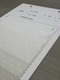 52945 Dobby Deshin[Textile / Fabric] Parika Sub Photo