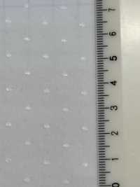 52945 Dobby Deshin[Textile / Fabric] Parika Sub Photo