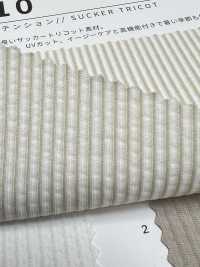 6710 Namiko High Tension[Textile / Fabric] SASAKISELLM Sub Photo