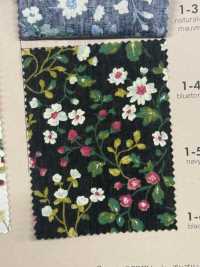 850525 SEVENBERRY® Broadcloth Broad Cotton Antique Day Berry Field[Textile / Fabric] VANCET Sub Photo
