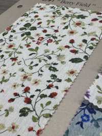 850525 SEVENBERRY® Broadcloth Broad Cotton Antique Day Berry Field[Textile / Fabric] VANCET Sub Photo