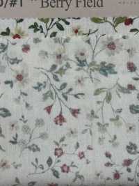 850525 SEVENBERRY® Broadcloth Broad Cotton Antique Day Berry Field[Textile / Fabric] VANCET Sub Photo