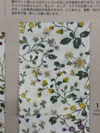 850525 SEVENBERRY® Broadcloth Broad Cotton Antique Day Berry Field[Textile / Fabric] VANCET Sub Photo