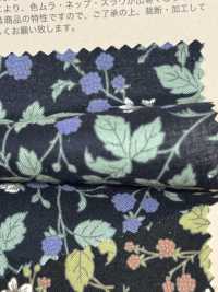 850531 SEVENBERRY® Lawn Unbleached Cotton Melancholy Flower Blackberry[Textile / Fabric] VANCET Sub Photo