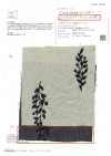 ON43699ID Linen Linen Denim-like Embroidery 4inch Harvest (Indigo Style)