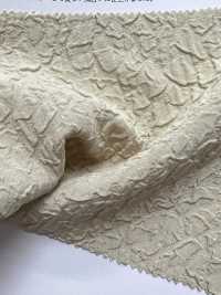 KKF1324-W-D1 Wide Width Breathable Jacquard[Textile / Fabric] Uni Textile(Komon Studio) Sub Photo