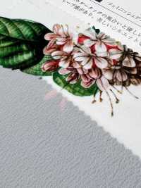 KDP1401-58-DD-783 80 % Typewriter Cloth Print[Textile / Fabric] Uni Textile(Komon Studio) Sub Photo