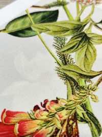 KDP7711-58-DD899 Light Grosgrain Wide Width Inkjet Print[Textile / Fabric] Uni Textile(Komon Studio) Sub Photo