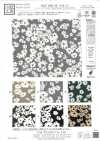 KKP1400-58-DSB-151 Feminish Dechine, Wide Width