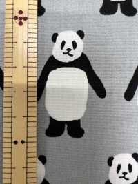 850564 Broadcloth Look This Way Panda[Textile / Fabric] VANCET Sub Photo