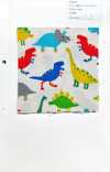 850579 Unbleached Oxford Cotton Warm Dinosaur
