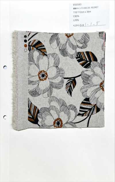 850583 Cotton-linen Canvas 80/20 PEONEY