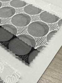 SLC8567 SLC 8567 (Circle) Silk Organza Lace[Textile / Fabric] KOYAMA Sub Photo