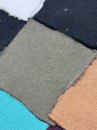 TS60 Rib Knit T/C, 2 Elastic Band, 1 Full Needle, 60cm Wide TAKENAKA CORPORATION Sub Photo