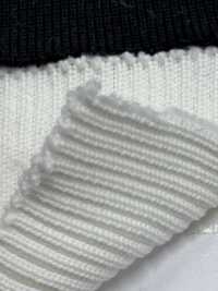 R1555 Rib Knit Yarn 5 Strands 2x1 60cm Wide TAKENAKA CORPORATION Sub Photo