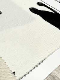 AP52101-DR Kuroneko Oxford(Half-fold)[Textile / Fabric] COSMO TEXTILE Sub Photo