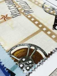 AP55201-DR Cinefabric Oxford (Half-fold)[Textile / Fabric] COSMO TEXTILE Sub Photo