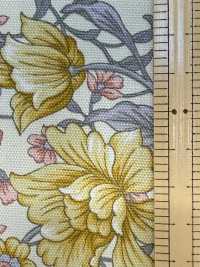 AP55808 Essential Grace 2 Oxford(Round)[Textile / Fabric] COSMO TEXTILE Sub Photo