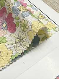 AP55808 Essential Grace 2 Oxford(Round)[Textile / Fabric] COSMO TEXTILE Sub Photo