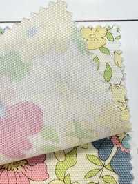 AP55808 Essential Grace 2 Oxford(Round)[Textile / Fabric] COSMO TEXTILE Sub Photo