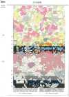 AP55808 Essential Grace 2 Oxford (Roll)