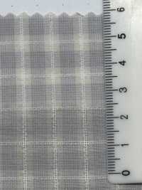 SBT-026 Organic Dobby Check[Textile / Fabric] Kuwamura Textile Sub Photo