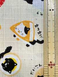 AP55109-DR Japanese Story Dobby (Half Fold)[Textile / Fabric] COSMO TEXTILE Sub Photo