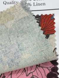 AP55803-DR C/L Flower Canvas (Half Fold)[Textile / Fabric] COSMO TEXTILE Sub Photo